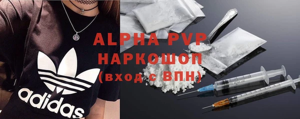 PSILOCYBIN Верея