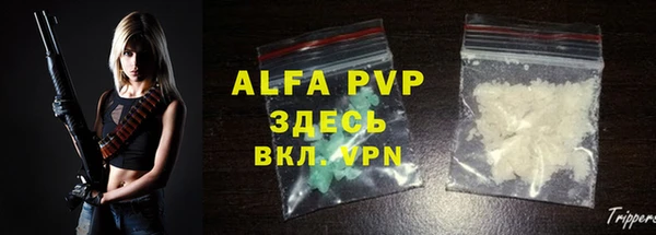 PSILOCYBIN Верея