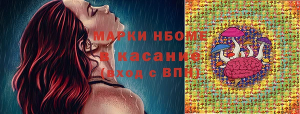 индика Верхнеуральск