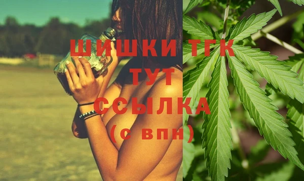 индика Верхнеуральск