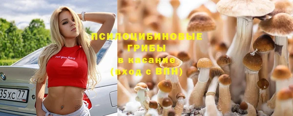 гидропоника Верхний Тагил